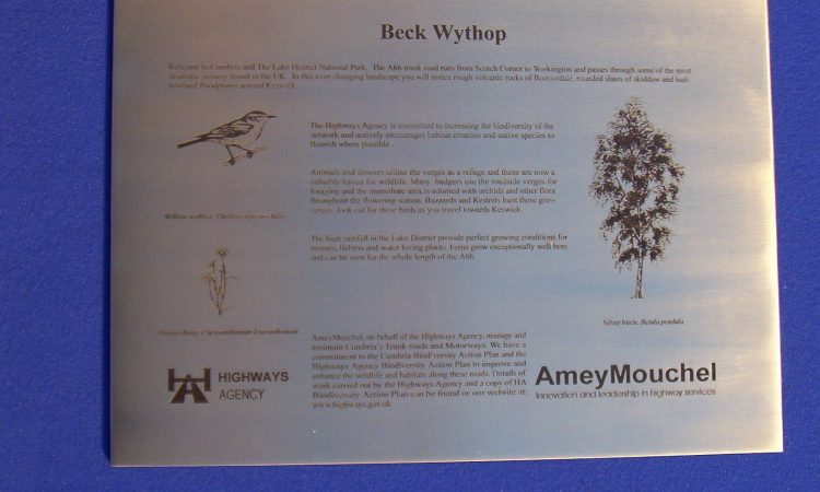 Engraved and then laser blackened, nearly vandal proof!