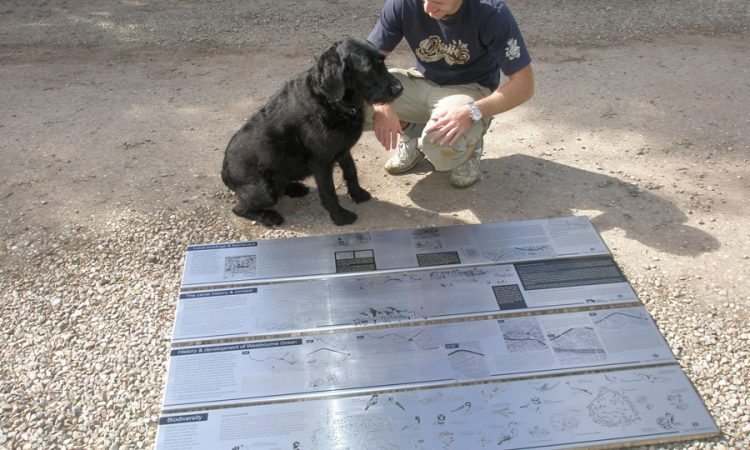 Fine work on stainless steel trays