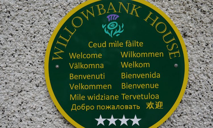 Foamex Sign with Vinyl