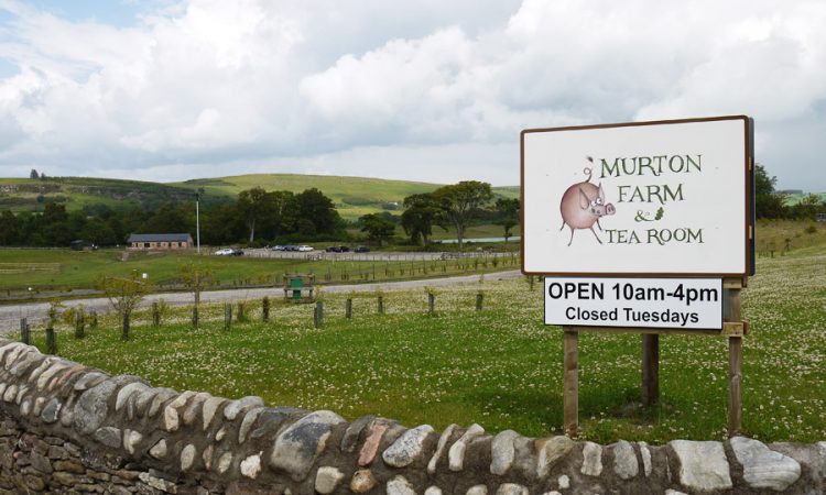 Full colour aluminium sign