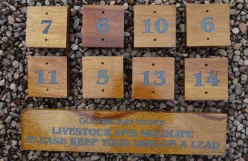 Irocco laser engraved and filled blue