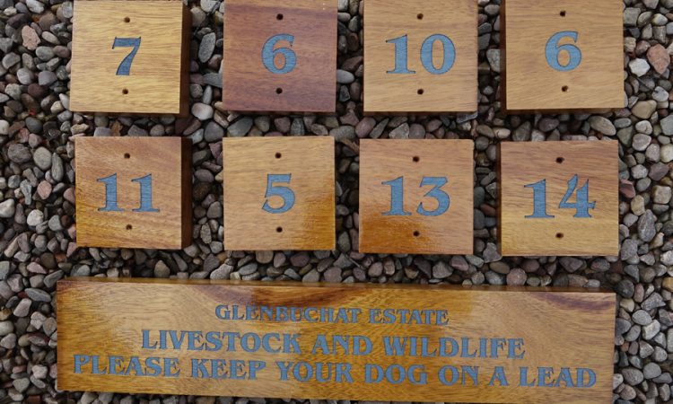 Irocco laser engraved and filled blue