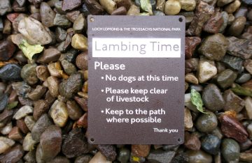 Post Marker in engraved 20 year life rowmark