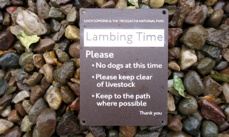 Post Marker in engraved 20 year life rowmark