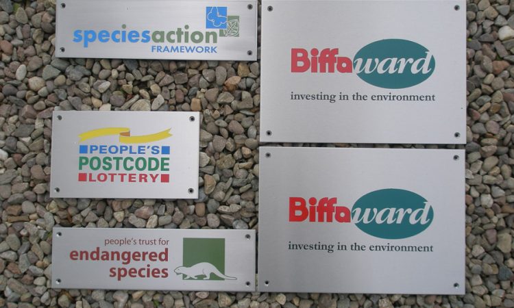 Stainless multicolour