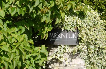 Natural patina after 10 years