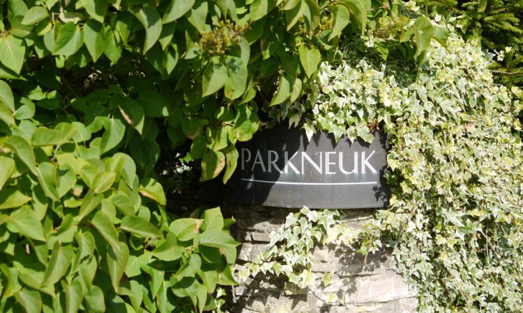 Natural patina after 10 years