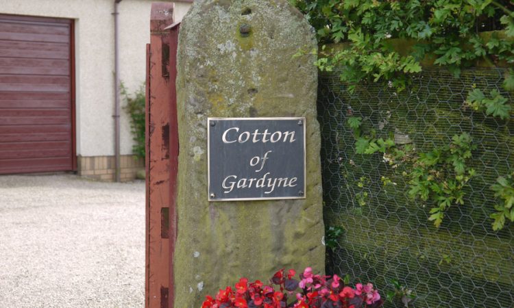 Reverse Etched ,aged and surface polished Bronze