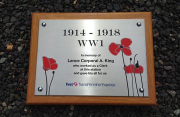 Stainless Steel on Light Mahogany Backing