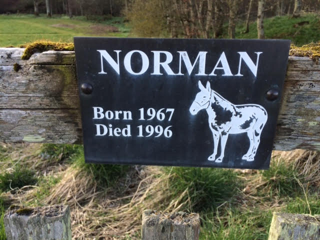 Pet Memorial Plaques